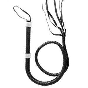 Látigos y azotadores